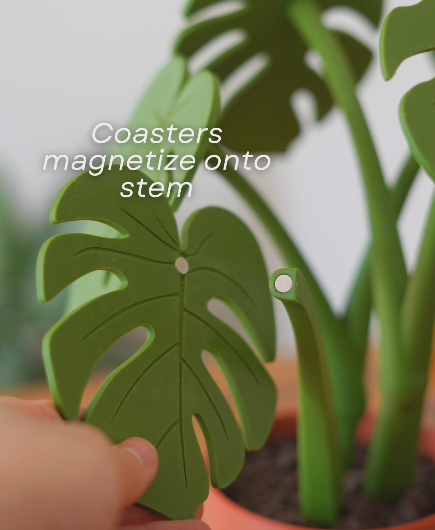 Sous-verres Monstera magnétiques, fausse plante imprimée en 3D, décoration de table, personnalisable, ForgeCore