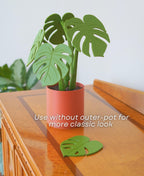 Sous-verres Monstera magnétiques, fausse plante imprimée en 3D, décoration de table, personnalisable, ForgeCore