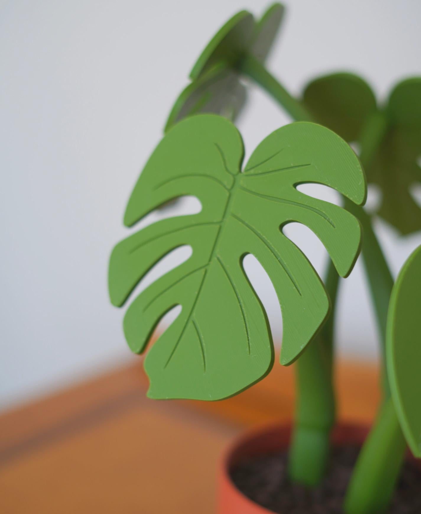 Sous-verres Monstera magnétiques, fausse plante imprimée en 3D, décoration de table, personnalisable, ForgeCore