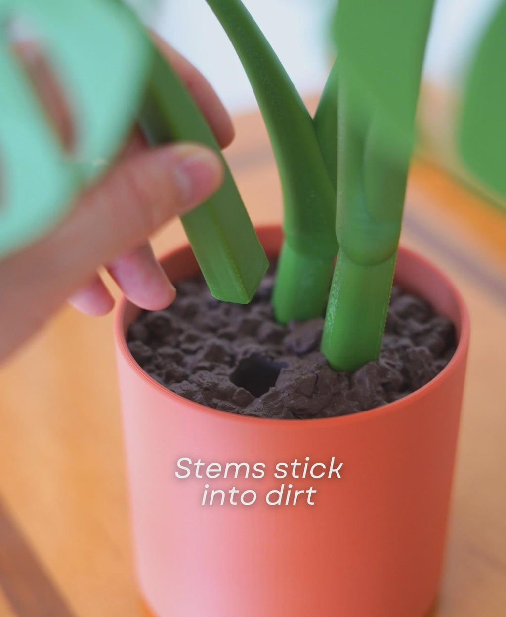 Sous-verres Monstera magnétiques, fausse plante imprimée en 3D, décoration de table, personnalisable, ForgeCore