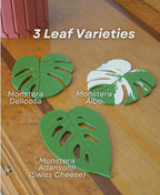 Sous-verres Monstera magnétiques, fausse plante imprimée en 3D, décoration de table, personnalisable, ForgeCore